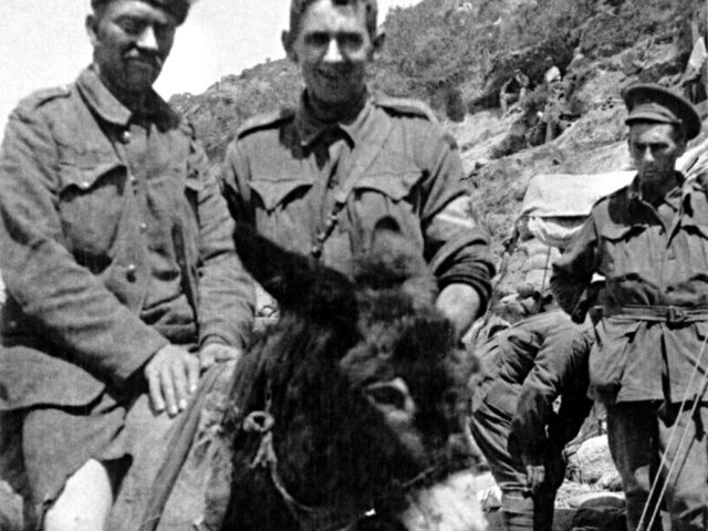 La Pará de Gines conmemorará el centenario del heroísmo del soldado Simpson y sus burros-ambulancia