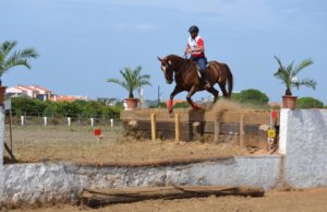 El primer Concurso-Exhibición de TREC refuerza el protagonismo del mundo del caballo en la sexta edición de “Una Pará en Gines”
