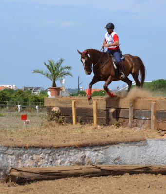 El primer Concurso-Exhibición de TREC refuerza el protagonismo del mundo del caballo en la sexta edición de “Una Pará en Gines”