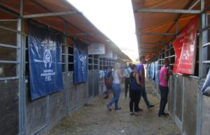 Boxes y corraletas para la compra, venta y trato de ganado en Una Pará en Gines