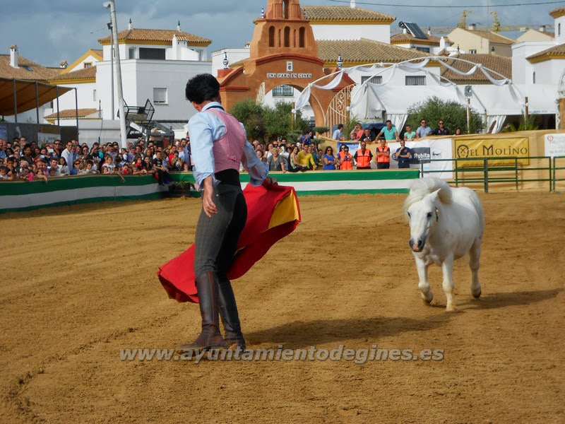Jazmín, el poni que sueña con ser toro, será uno de los grandes atractivos de «Una Pará en Gines 2013»