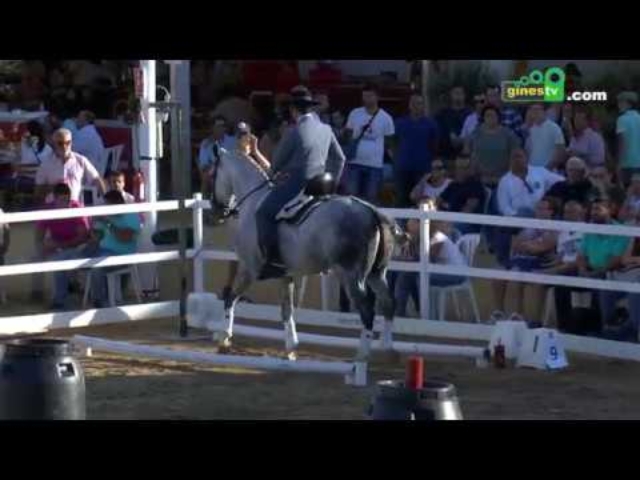 La equitación de trabajo se consolida en Una Pará en Gines 2019