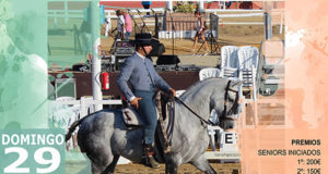 Concurso Equitación de trabajo - La Pará 2019 - Gines