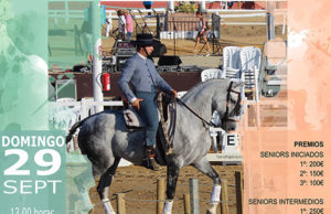 Concurso Equitación de trabajo - La Pará 2019 - Gines