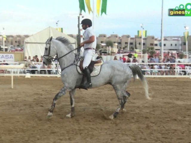 El caballo en todo su esplendor en el II Concurso Social de Salto de Potencia de Obstáculos de Gines