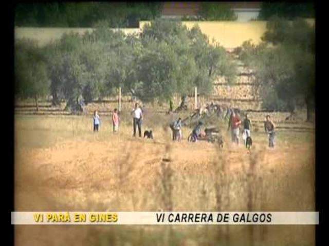 VI Carrera de Galgos en "Una Pará en Gines 2012"